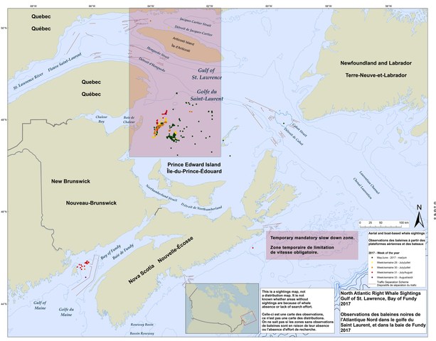 Statement by Ministers Garneau and LeBlanc on actions taken to address the deaths of whales in the Gulf of St. Lawrence