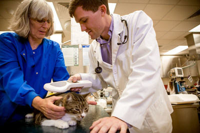 Veterinarians know that microchips are one of the most effective ways to identify and reunite a lost pet, but only if the pet owner's microchip registry information is up to date and accurate.