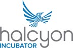 Halcyon Incubator Releases 2nd Annual Ranking of Best Cities for Social Entrepreneurs