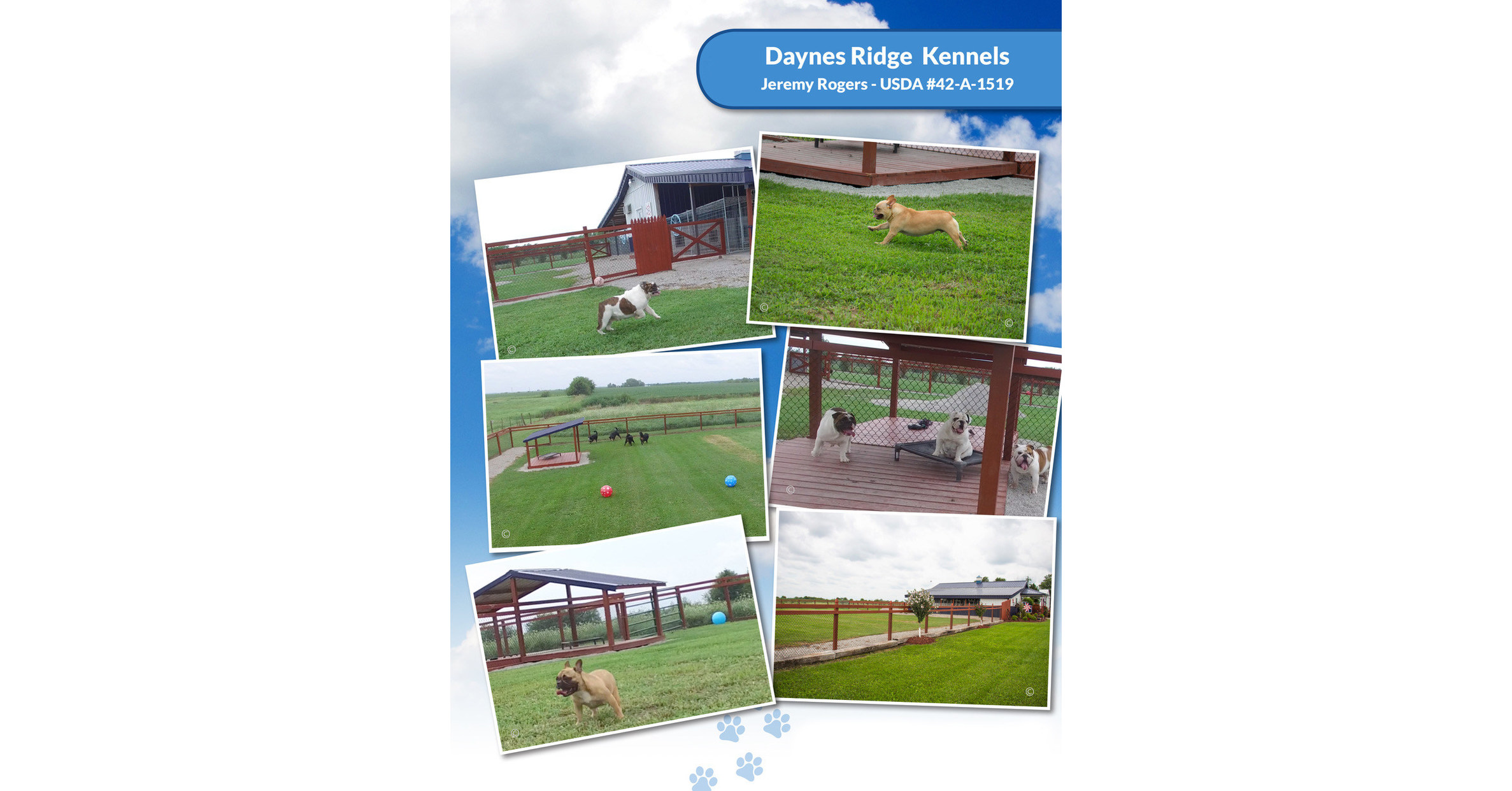 Own, Petland Kennesaw Announces Exclusive Buying Relationship