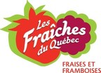 Le Québec champion dans la production de fraises d'automne