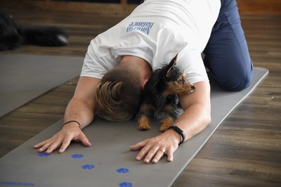 Lance Bass with his dog Dale at Natural Balance Pet Foods announce new formula with Lance Bass and Downward Dogs - Literally - at The DEN Meditation on August 23, 2017 in Los Angeles, California.  (Photo by Michael Kovac/Getty Images for Natural Balance)