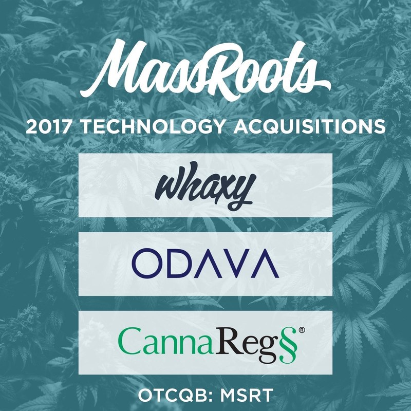 MassRoots, Inc.'s 2017 Technology Acquisitions