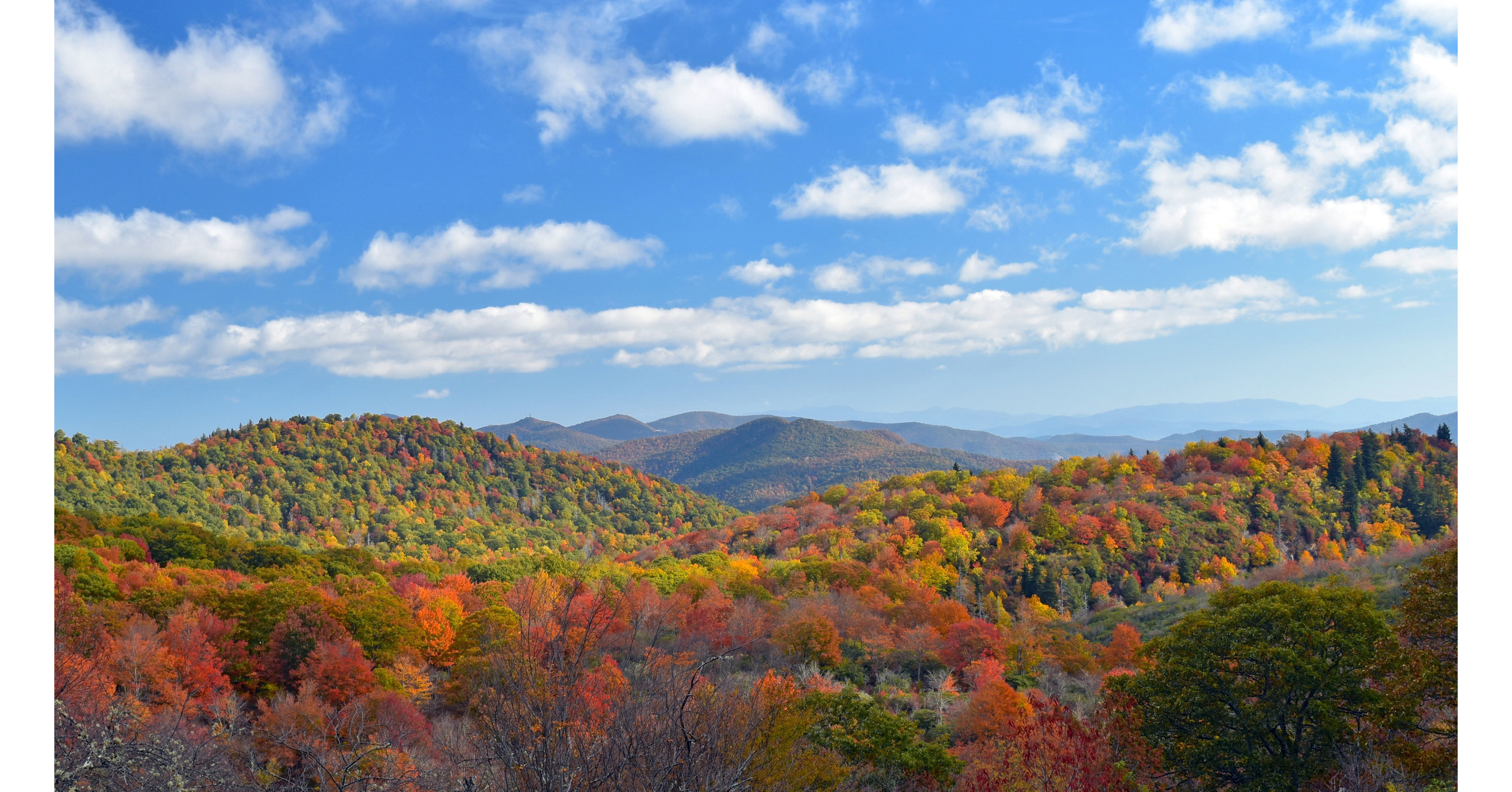 Blue Ridge Fall Color Forecast Ideal Conditions For "Vibrant 2017