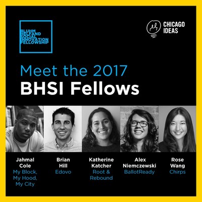 Meet the 2017 BHSI Fellows