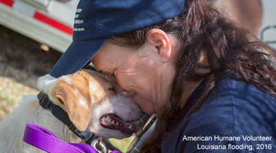 The American Humane Rescue team is racing to Texas to help animals caught in the path of the storm, working with Chicken Soup for the Soul Pet Food to distribute more than 100,000 pounds of free food to frightened, hungry animals.