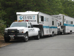 IFAW Statement: Disaster Response team deploys to rescue animals affected by Hurricane Harvey