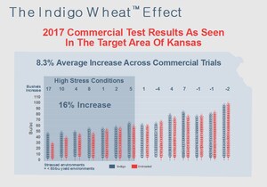 Indigo Announces Significant Yield Gains in Winter Wheat and Offers a Price Premium for US Wheat Growers to Grow Indigo Wheat™