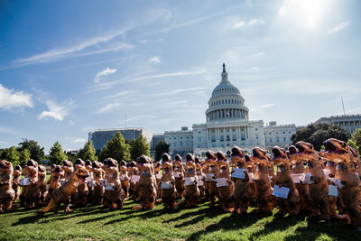 Hundreds of national service advocates dressed as dinosaurs gathered on the streets of DC and at the US Capitol to stop national service extinction and tell Congress to Let Us Serve. Learn more at LetUsServe.org.