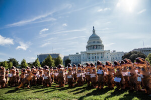 Service Year Alliance: Record number of dinosaurs took to the streets of Washington, DC to stop national service extinction
