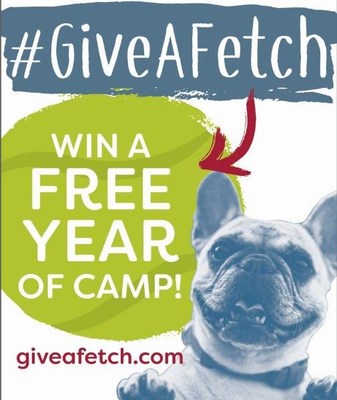 Camp Bow Wow Inspires Consumers to #GiveAFetch through New Campaign