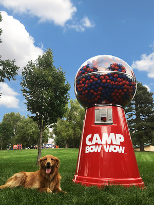 Camp Bow Wow Inspires Consumers to #GiveAFetch through New Campaign