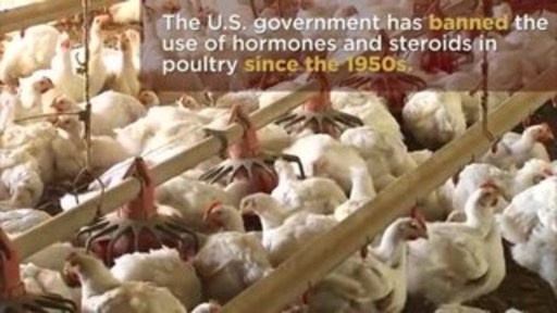 America's Largest Chicken Association Rolls Out Industry-Wide Standards for Broiler Chicken Welfare