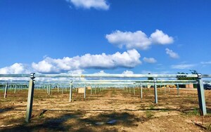 Arctech Solar faz sua estreia nos EUA com 6 MW em projetos de rastreadores no Estado da Geórgia