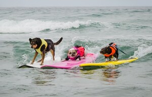 The 12th Annual Surf Dog Surf-A-Thon Gets Ready to Make a Splash