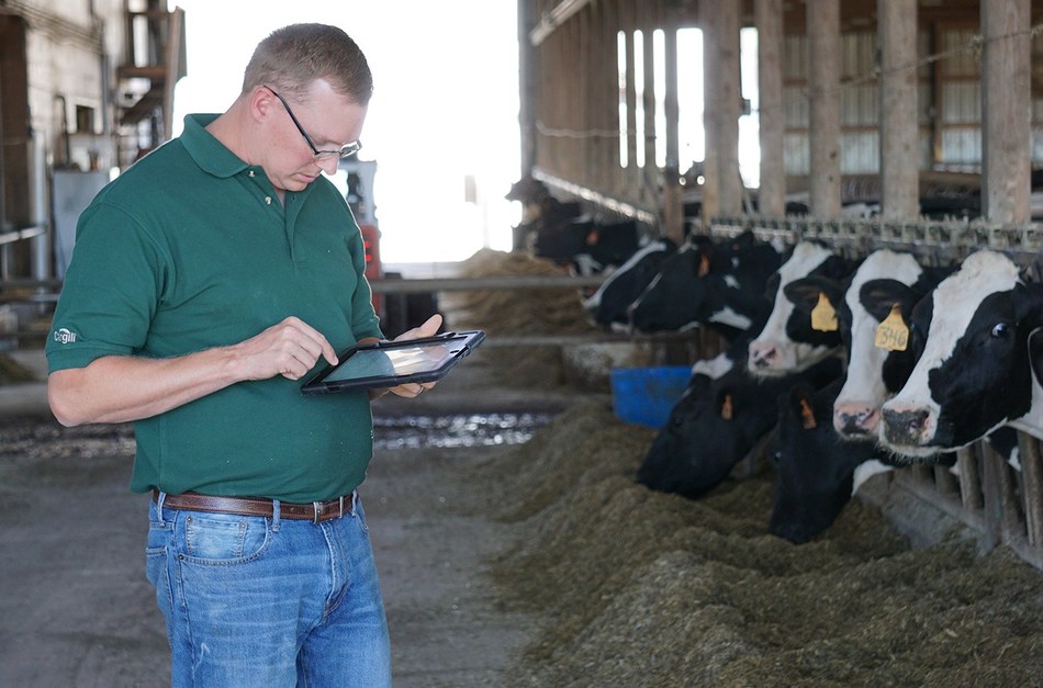 Dairy farmers milk the power of data to improve feed and farm