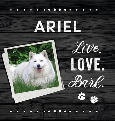 Sourcebooks Proudly Supports the Humane Society of the United States with New Personalized Dog Books  Image