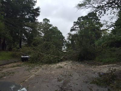 Hurricane Irma damage in Macon, Georgia.