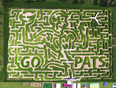 Davis corn clearance maze