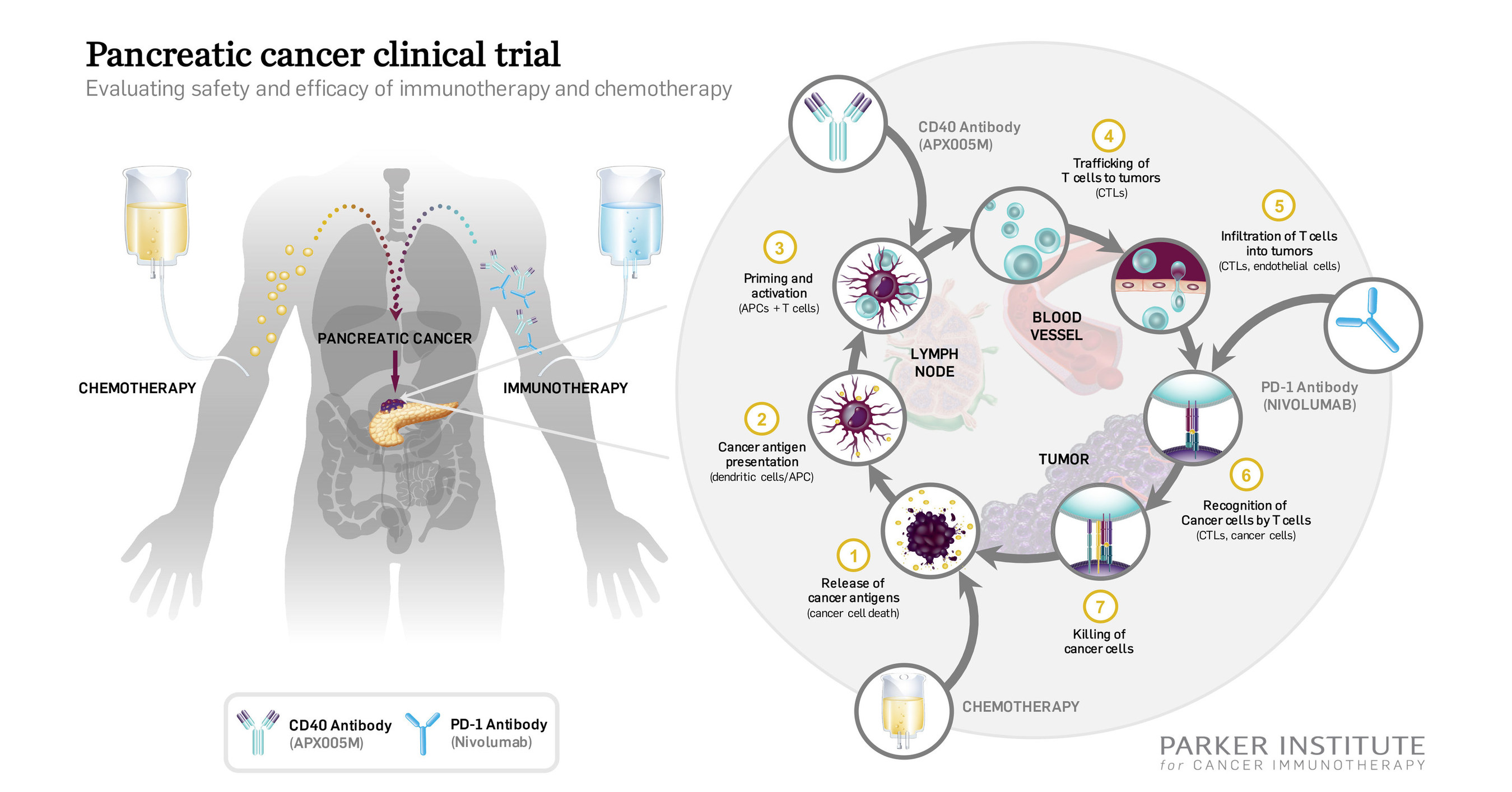 The Parker Institute for Cancer Immunotherapy and the