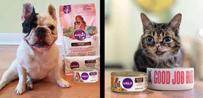 Two of *Forbes'* "10 Most Influential Pets," Lil BUB, and Manny the Frenchie, announce they choose new Halo, a premium pet food with Proven Superior Digestibility that is HOLISTIC. WHOLE. HUMANE.