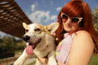 Adopt-a-Pet.com and the Petco Foundation Find Pets Their Forever Home with the Launch of Rehome