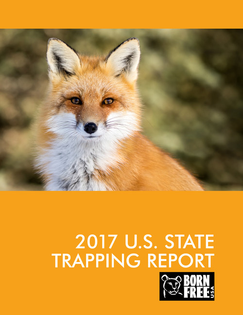Born Free USA's 2017 Trapping Report is compiled by reviewing the laws of each individual state on a variety of different trapping-related topics and then, using a weighted point system, assigning individual letter grades and a final weighted grade to each state.