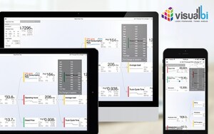 Visual BI Solutions Acquires Dolphin Dynamics Labs' Value Driver Tree