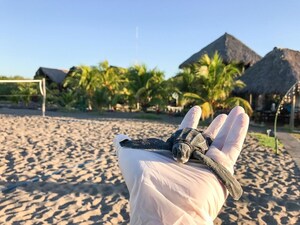 Nicaraguan Hostel Saving Sea Turtles on an Unprotected and Remote Beach