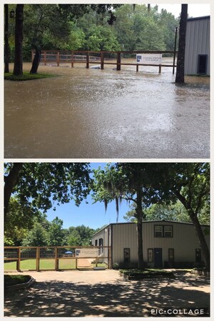 Houston-Area Dog Kennel Rallies to Reopen After Hurricane Harvey Floods