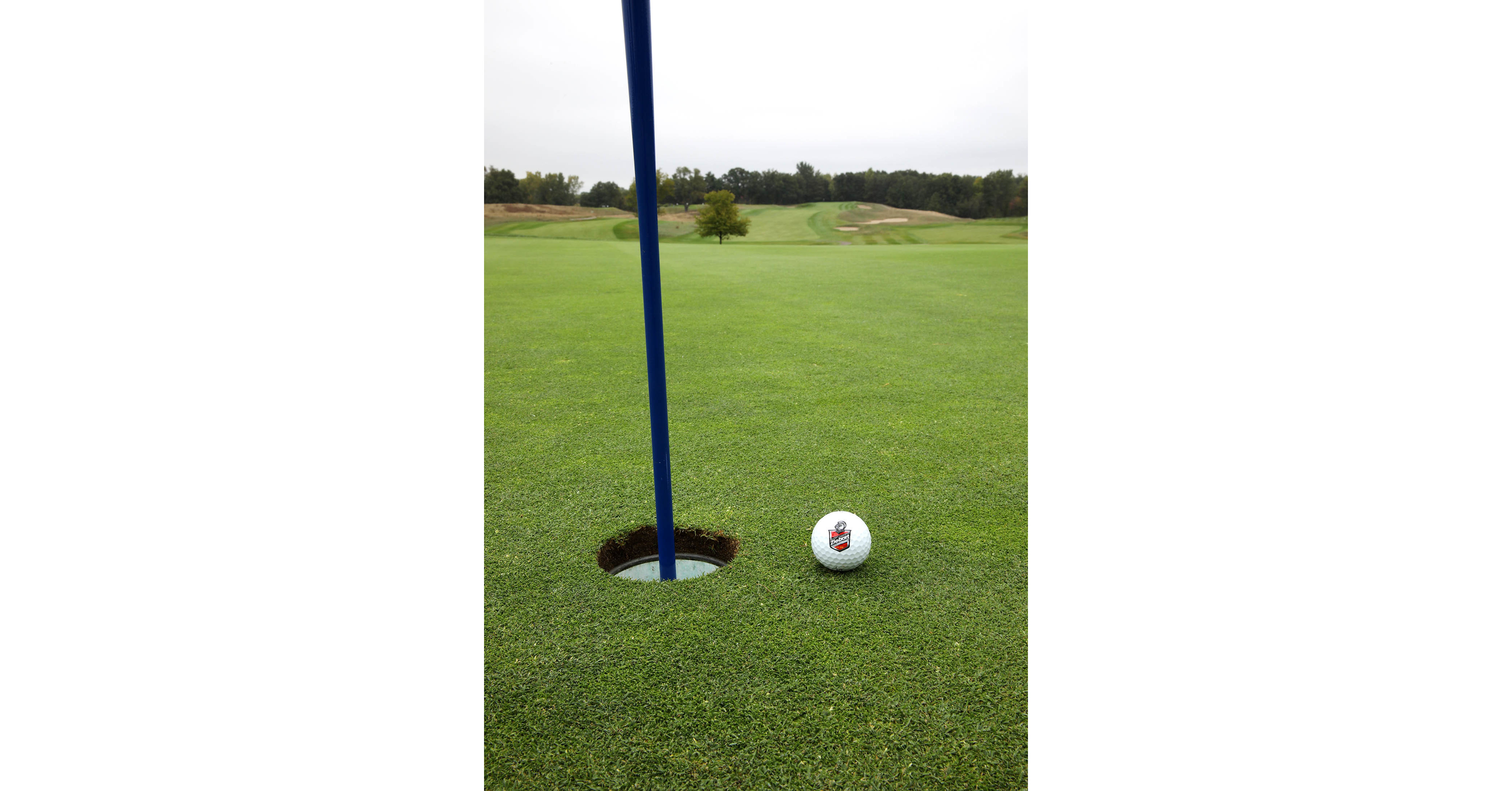 Ziebart Raises over 12,000 at Golfing Fore a Cure Outing Benefiting