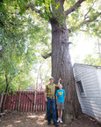 Ottawa's Champlain Oaks Withstand the Test of Time
