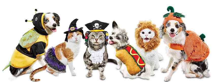 Petco Fulfills Pets' and Pet Parents' Halloween Costume Goals