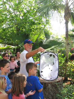 Wings of the Tropics butterfly garden release.