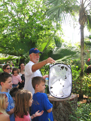 Fairchild Garden Reopens 10 Days After Hurricane Irma