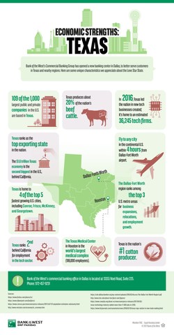 Texas Infographic