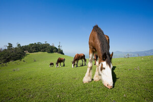 Visit Spain, Europe and South America Along the CA Highway 1 Discovery Route