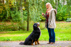 Dos and Don'ts for a Well-Behaved Pet
