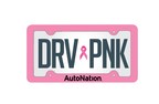 AutoNation Named Best in Auto Marketing