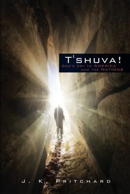 Concerned Army Veteran Asks: How Do We Make Sense of Shootings in South Carolina, Tennessee, Las Vegas and Elsewhere? Image