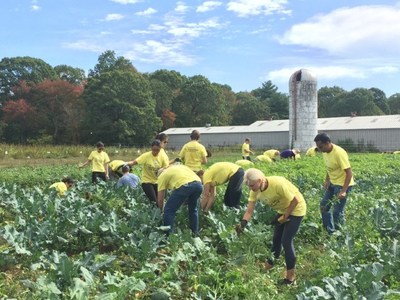 EY Volunteers in Boston weed fields at Powisset Farms in Dover, Massachusetts. Mayor Marty Walsh of Boston proclaimed October 6th to be "EY Connect Day" as a way to honor EY's commitment to the local Boston community. This year on EY Connect Day in Boston EY had over 1,000 EY professionals in the community donating over 4,100 volunteer hours. Over the course of the last year EY in Boston has raised more than $2,035,000 for non-profits and charity organization along with donating over 27,000 hours.