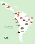 The nature of Latin America in Fruittion Botanicals