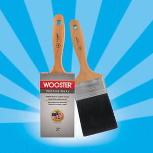 Wooster Reintroduces the Miami Paintbrush