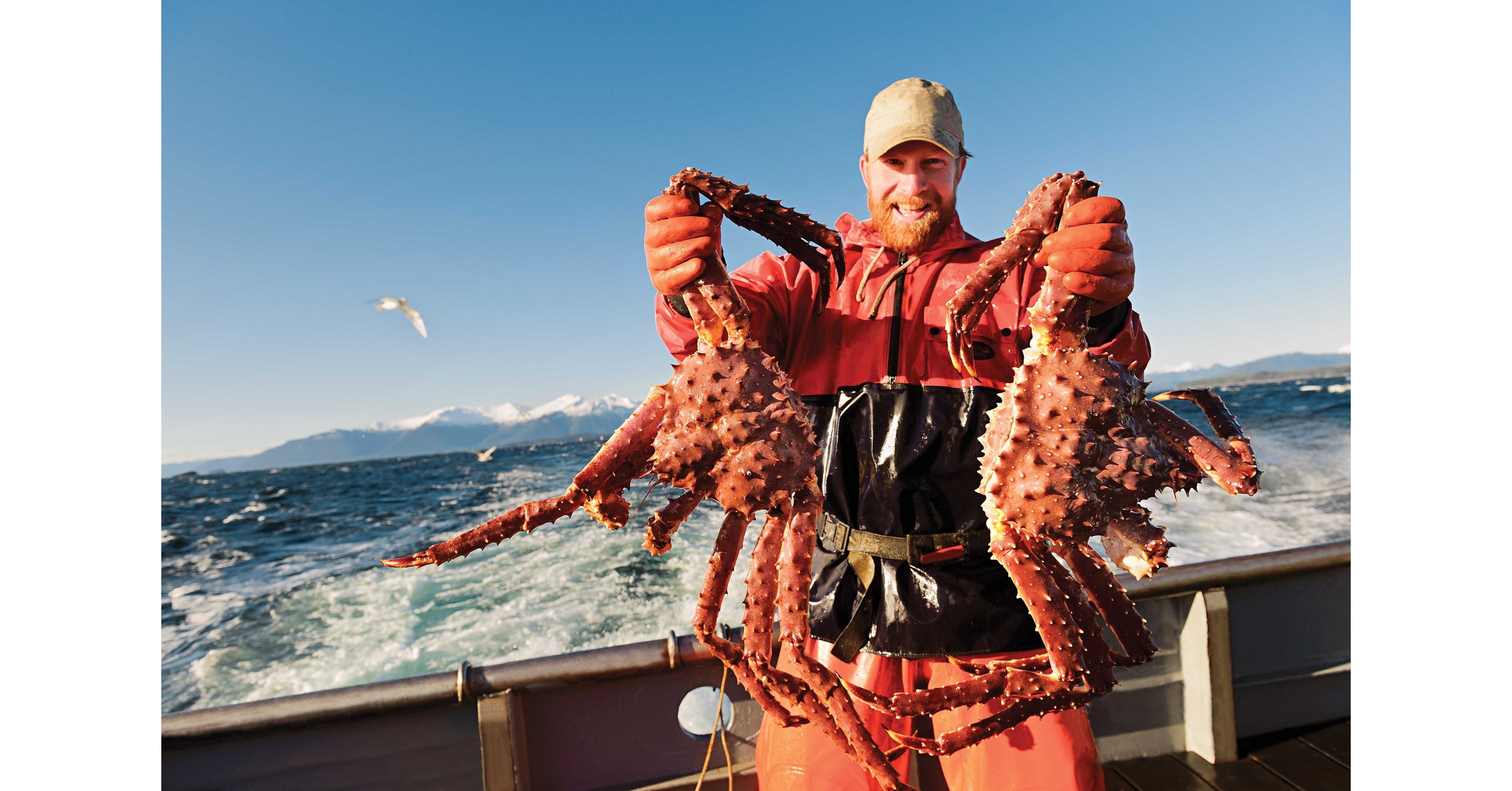 Alaska Crab Season Kicks Off With Harvest Opener