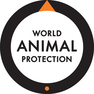 World Animal Protection applauds Nestlé USA on its commitment to improve welfare of broiler chickens