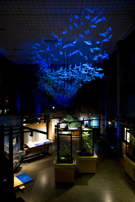 The Ontario Science Centre unveiled DEEP BLUE, a stunning permanent art installation comprised of more than 2000 origami shapes. Created by Labspace Studio in collaboration with 12-year-old Daniel Ranger – and with help from Science Centre visitors, DEEP BLUE depicts the bathymetry of majestic Lake Ontario. (CNW Group/Ontario Science Centre)