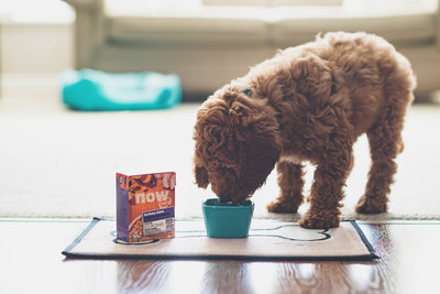 Petcurean Introduces Fresh, Healthy, and Delicious Stews and Pâtés for Dogs and Cats In 100 Percent Recyclable Packaging.