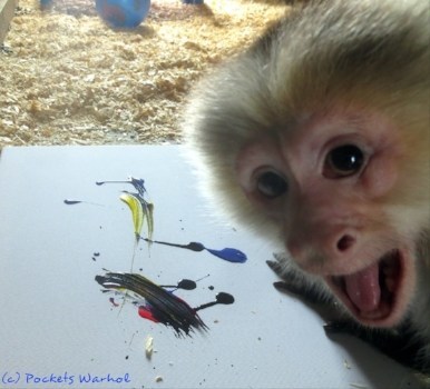 The Silent Auction will include original paintings by Pockets Warhol, a Capuchin Monkey from Story Book Farm Primate Sanctuary, whose artwork has garnered attention from worldwide news outlets and celebrities including Ricky Gervais and Dr. Jane Goodall. (CNW Group/Love Wild Live Free)
