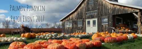 The Palmen Pumpkin Patch event is going on this October at Palmen Motors.