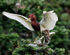 Hangzhou Ecotourism Areas Ready for City Dwellers as Birds Wing Their Way South